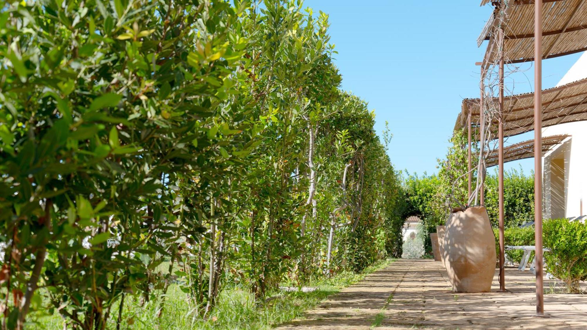 Delle Rose, Hotel & Horse Riding Torre Vado Ngoại thất bức ảnh