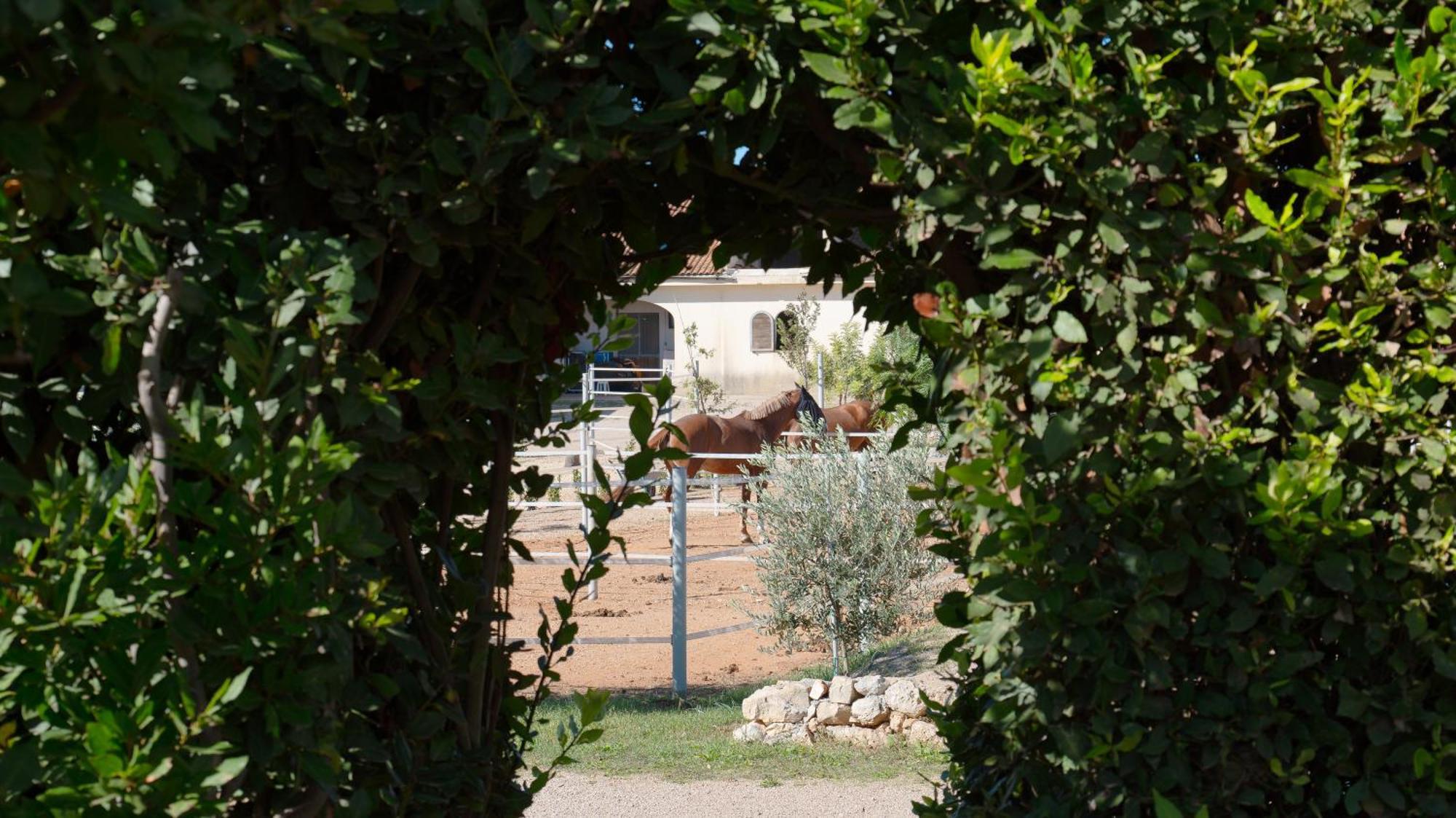 Delle Rose, Hotel & Horse Riding Torre Vado Ngoại thất bức ảnh